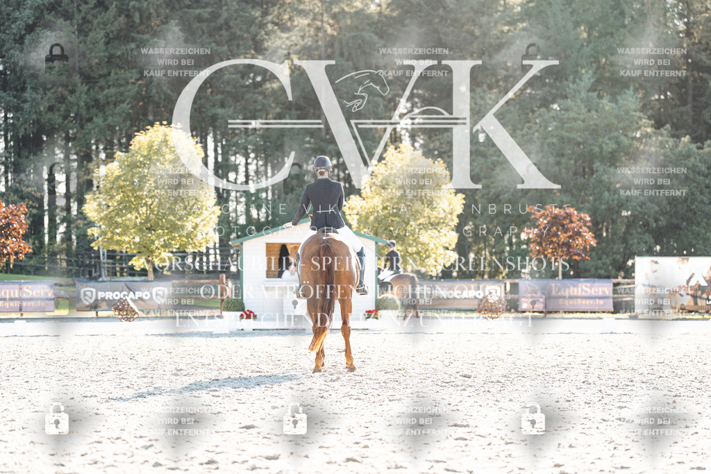 CK906914 | Turnierfotografie Pferdefotografie Trier Rheinland-Pfalz Pferdesport Reitsport Tierfotografie Sportfotografie Pferdevideo Pferdevideografie Equestrianvideography equestrianphotography  - Realisiert mit Pictrs.com