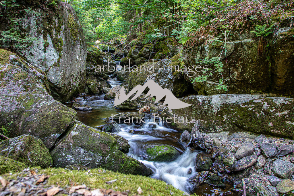 OE7A5235 | wildes Wasser und wilder Wald, mitten im Bayerischen Wald. Die Felsenschlucht wird oft auch als Naturjuwel bezeichnet und ist das Ziel vieler Wanderer.