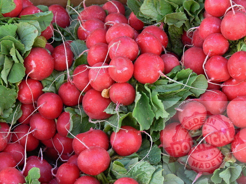 Fresh red radishes with green leaves piling | Fresh red radishes with vibrant green leaves displaying healthy organic produce - Realisiert mit Pictrs.com