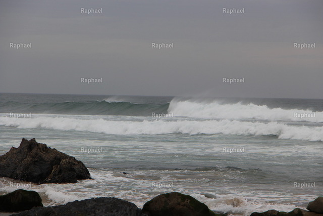 IMG_5687 | Raphael - Realisiert mit Pictrs.com