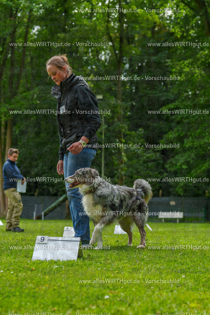 @allesWIRTHgut_Tierfotografie - www.allesWIRTHgut.de - 7R502066 | Professionelle Tierfotografie in Mönchengladbach von Daniel Wirth (allesWIRTHgut). Liebevolle & natürliche Bilder von Hunden & Katzen für unvergessliche Erinnerungen.