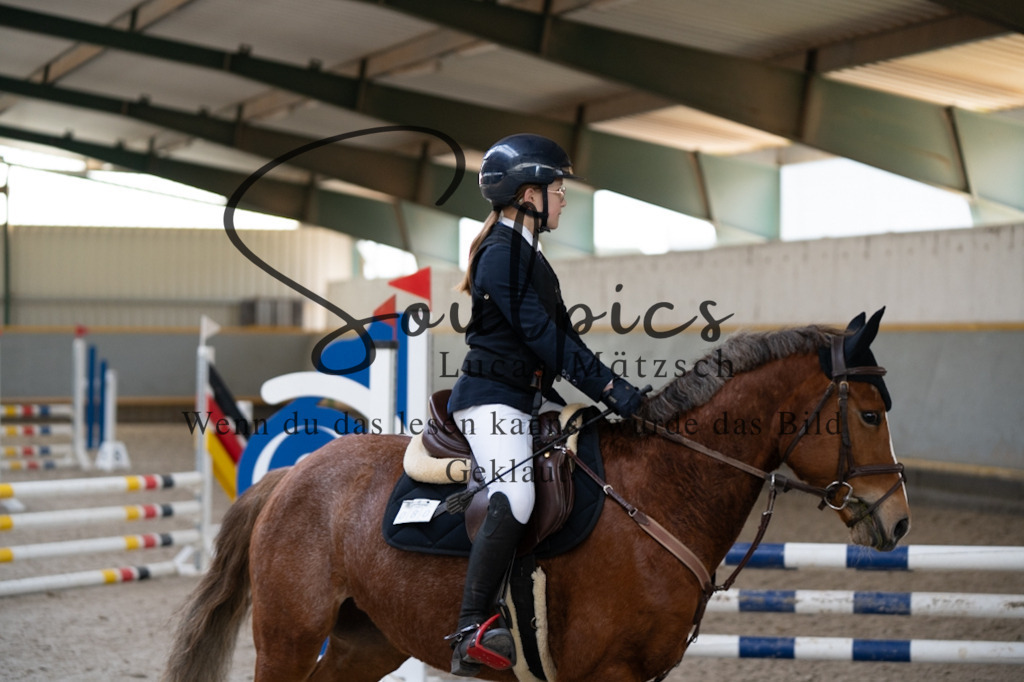 A7V06725 | Pferdefotograf