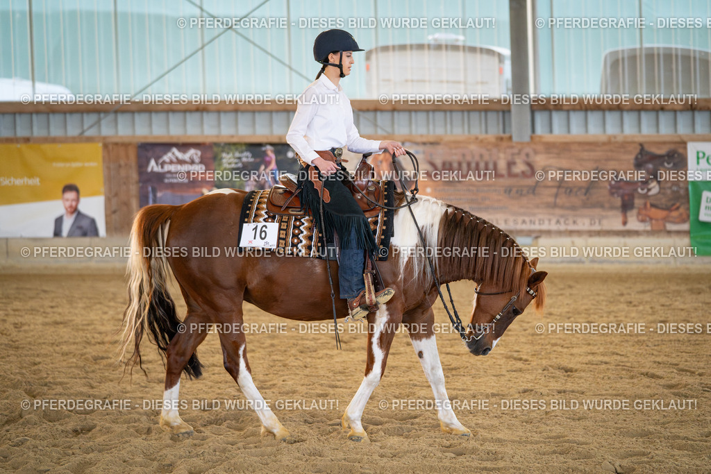 DSC09051 | Pferdegrafie