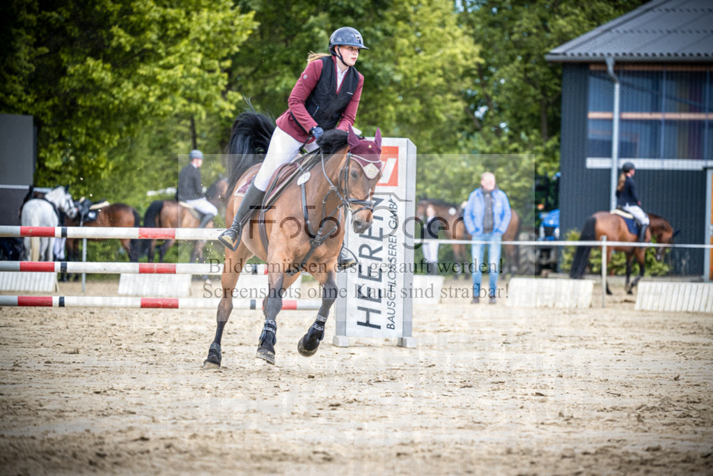 DOS_1285 | Reitturnier Lüdinghausen - Realisiert mit Pictrs.com