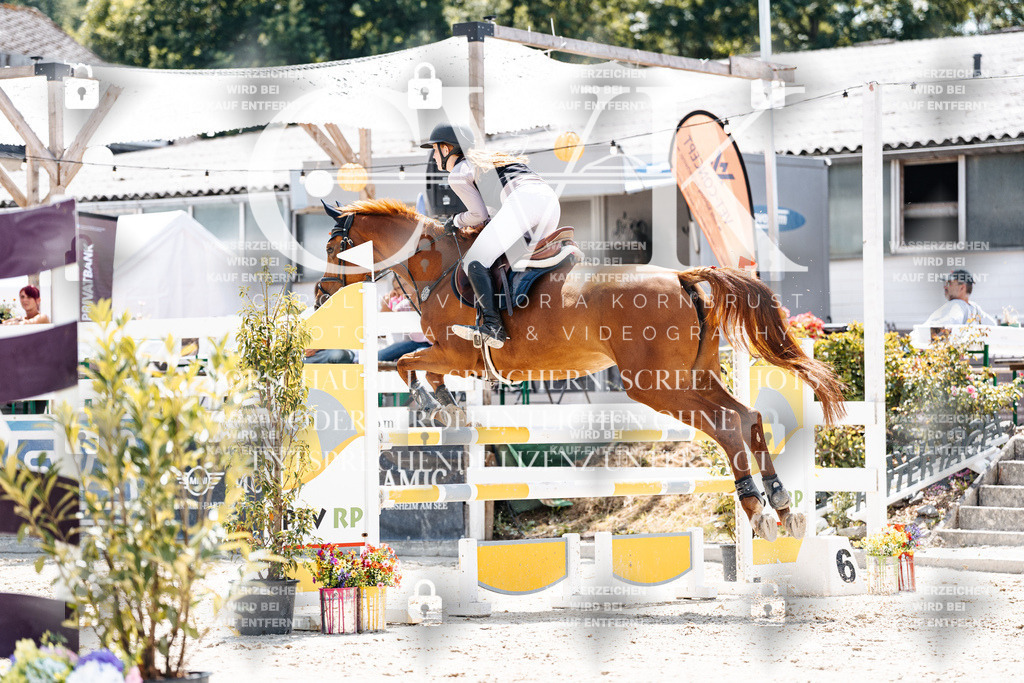 CK907765 | Turnierfotografie Pferdefotografie Trier Rheinland-Pfalz Pferdesport Reitsport Tierfotografie Sportfotografie Pferdevideo Pferdevideografie Equestrianvideography equestrianphotography  - Realisiert mit Pictrs.com