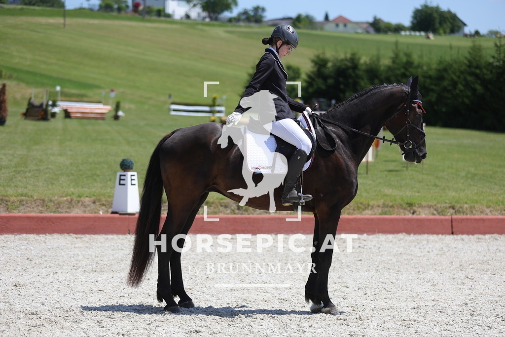 0P6A1349 | Willkommen bei Brunnmayr - Design & Fotografie – Ihrem Spezialisten für Reitturniere und Pferdeveranstaltungen in Oberösterreich, Salzburg und Bayern! Seit über 17 Jahren sind wir leidenschaftlich dabei.