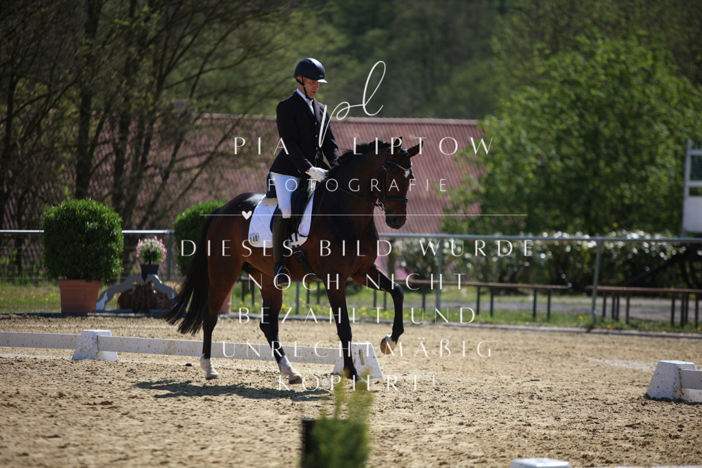 IMGT7413 | pl-fotografie