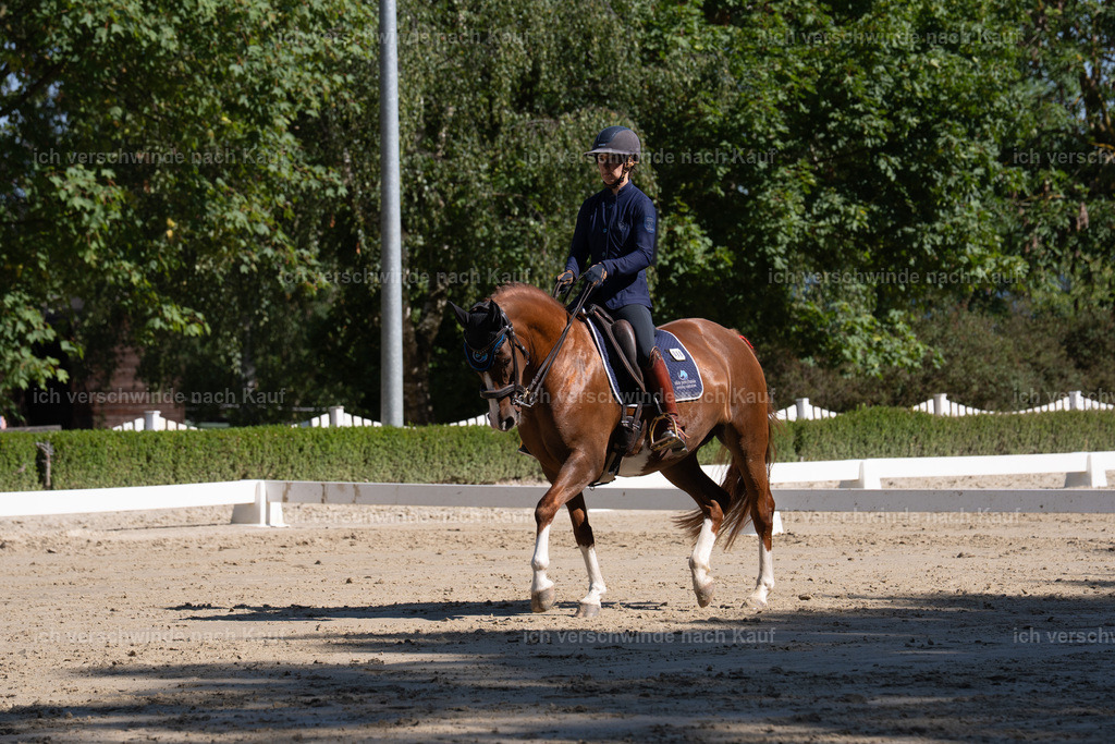 WL_DR_86_sinafilmart_IN06914 | working equitationturnier fotograf videograf stoibphotography marixx film working equitation deutschland reitsport turnierfotografie eventfotografie equestrian events