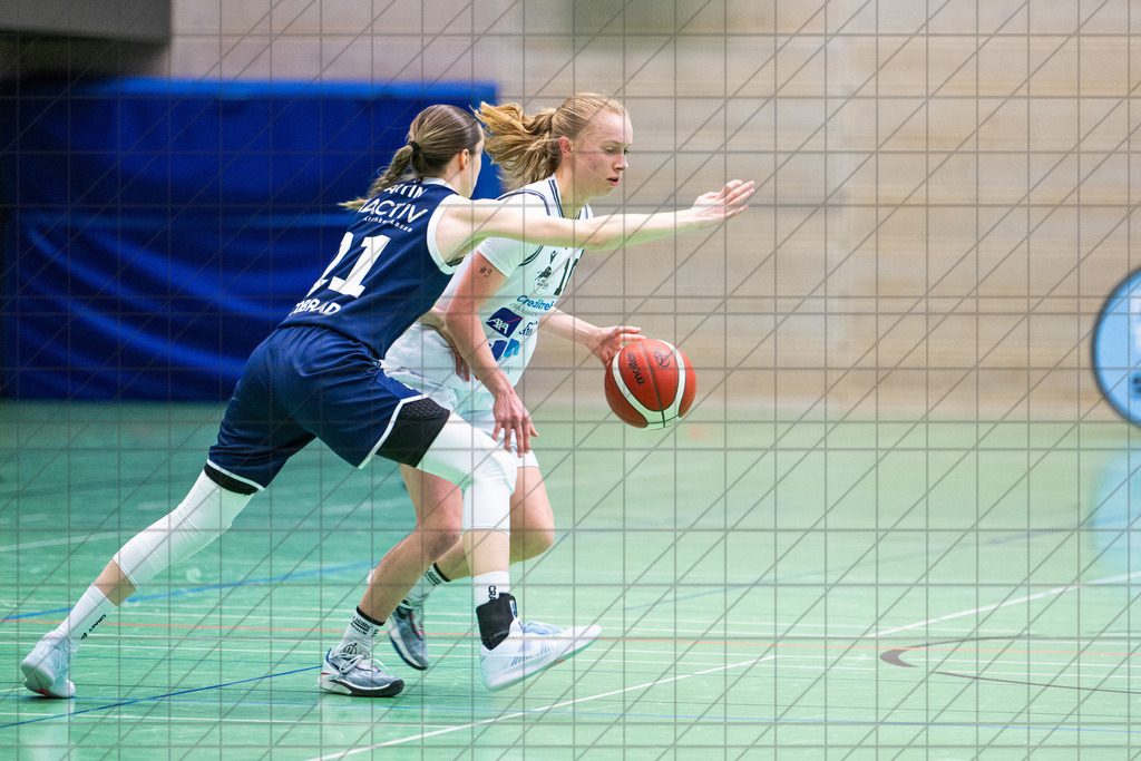 2. DBBL Nord 24/25 | 19.01.2025 | BBC OS vs. VfL VIACTIV-AstroLadies Bochum | 2. DBBL Nord 24/25 | 19.01.2025 | BBC OS vs. VfL VIACTIV-AstroLadies Bochum - - - - - CREDIT, www.bullenfotos.de, Martin König, Hörner Weg 40, D-49078 Osnabrück, +4917663732967, Nutzung und Weitergabe nur zu den vereinbarten Zwecken. Presseanfragen an Urheber. Alle Rechte beim Urheber. - - - - - - Realisiert mit Pictrs.com
