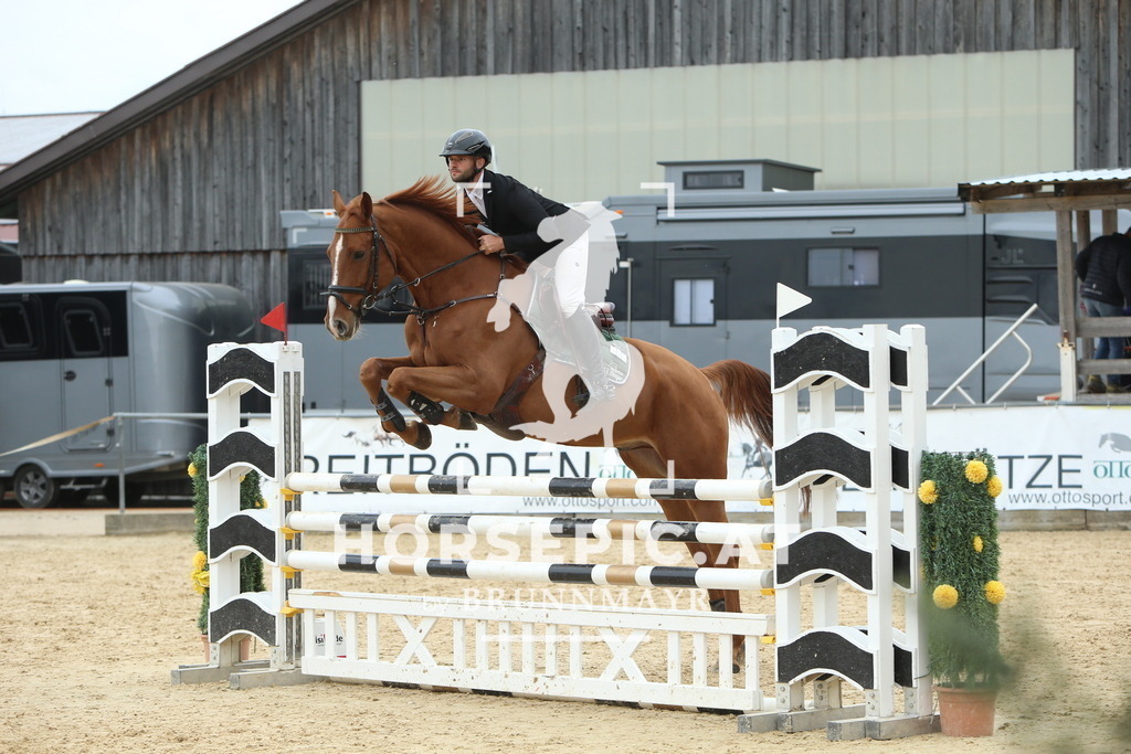 DL2Q6793 | Willkommen bei Brunnmayr - Design & Fotografie – Ihrem Spezialisten für Reitturniere und Pferdeveranstaltungen in Oberösterreich, Salzburg und Bayern! Seit über 17 Jahren sind wir leidenschaftlich dabei.