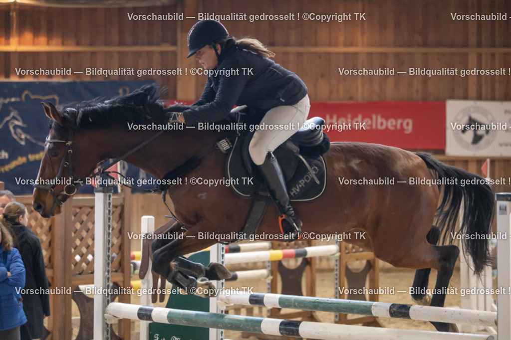 _D5A9357 | Emotionale Pferde- & People-Fotografie rund um Heidelberg, Leimen & Umgebung. Natürliche Fotos von Pferd, Mensch & Familie. Jetzt Termin sichern!