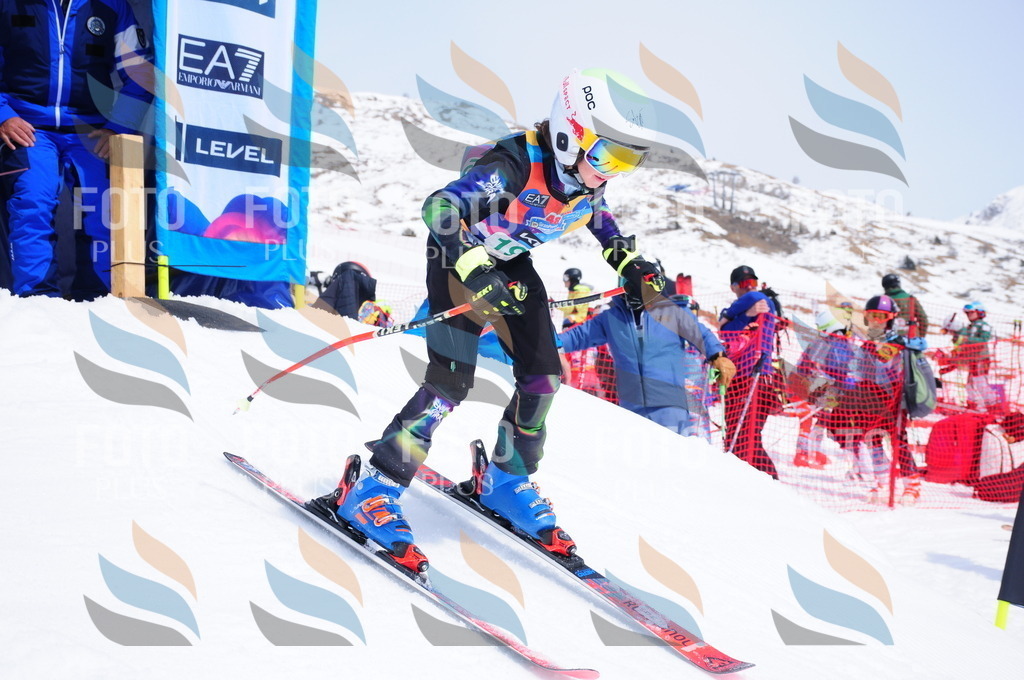 DSC_1739 | holidayphoto