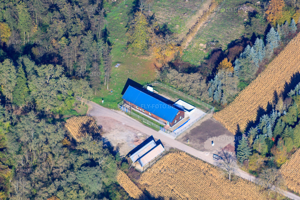 Luftbild: Geranienweg in Hagenbach im Bundesland Rheinland-Pfalz in Deutschland. Foto: IMG_35390.jpg vom 31.10.2010 durch Werner Riehm/FLY-FOTO.de