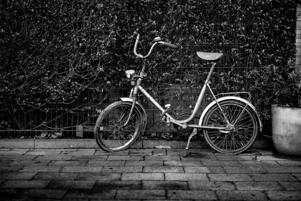 Olles Fahrrad | Ein abgewracktes Modell wartet auf einen neuen Besitzer.