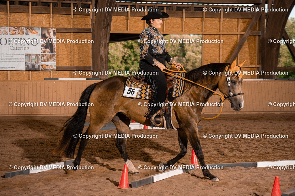 NE101331 | dv-media-shop - Realisiert mit Pictrs.com