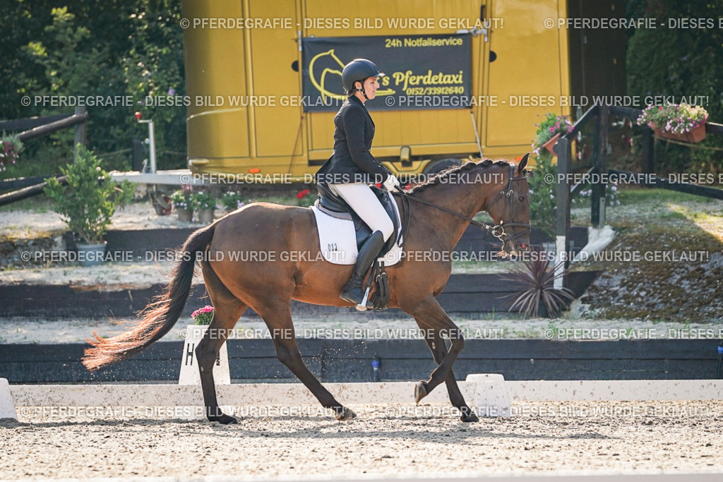 DSC08413 | Pferdegrafie