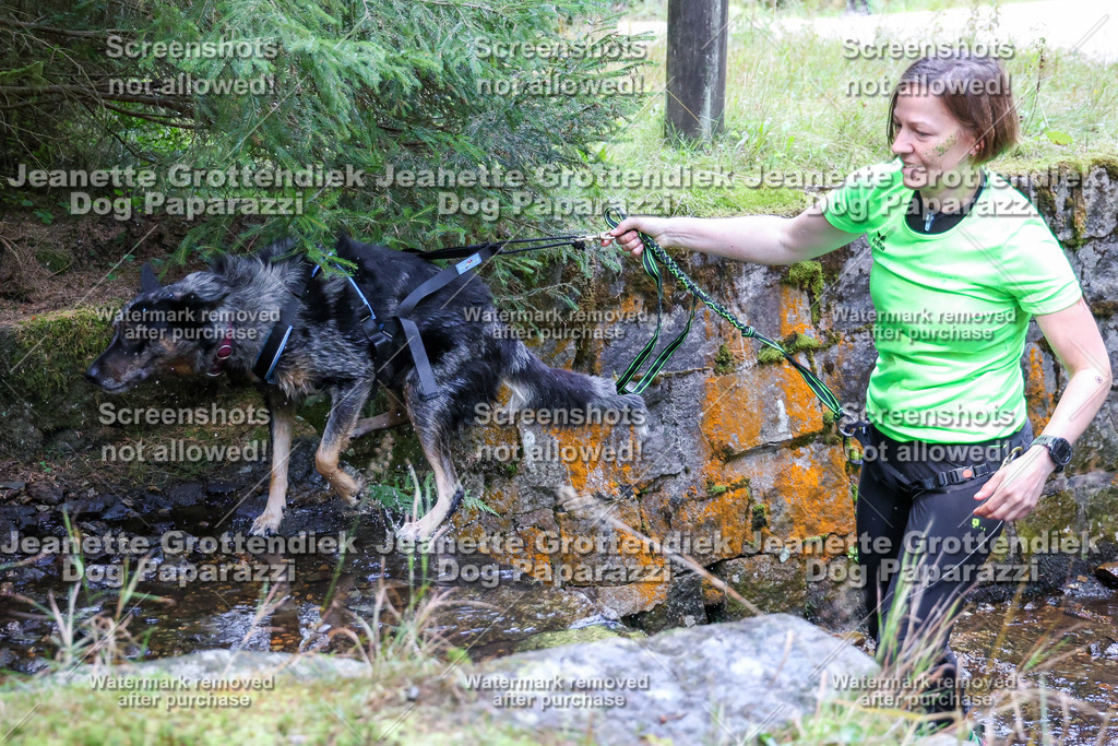Dog Paparazzi -  TH 26-522 | Dog Paparazzi Jeanette Grottendiek Fotografie & Videografie - Realisiert mit Pictrs.com