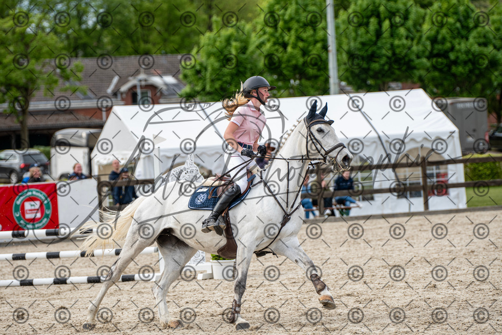 KPT_7037 | andre_photographic