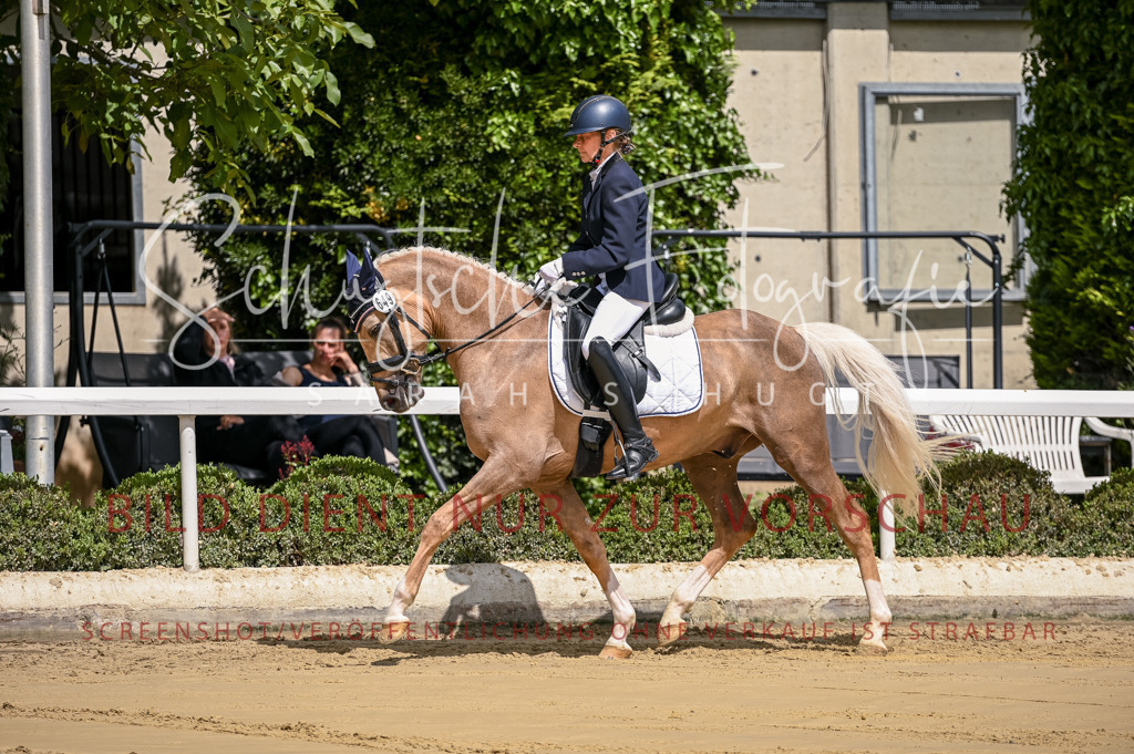Schugtsche-Aluta25-48.Reitpferfdeprf.-30 | Schugtsche Fotografie - Realisiert mit Pictrs.com