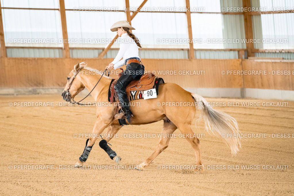 DSC02614 | Pferdegrafie