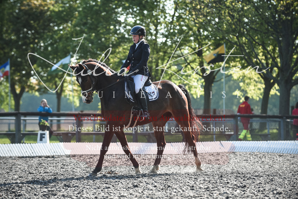DSC_8310 | Pferde- und Turnierfotografie in Westsachsen. Pferdeportraits, Auftragszeichnungen und intuitive Kunst.