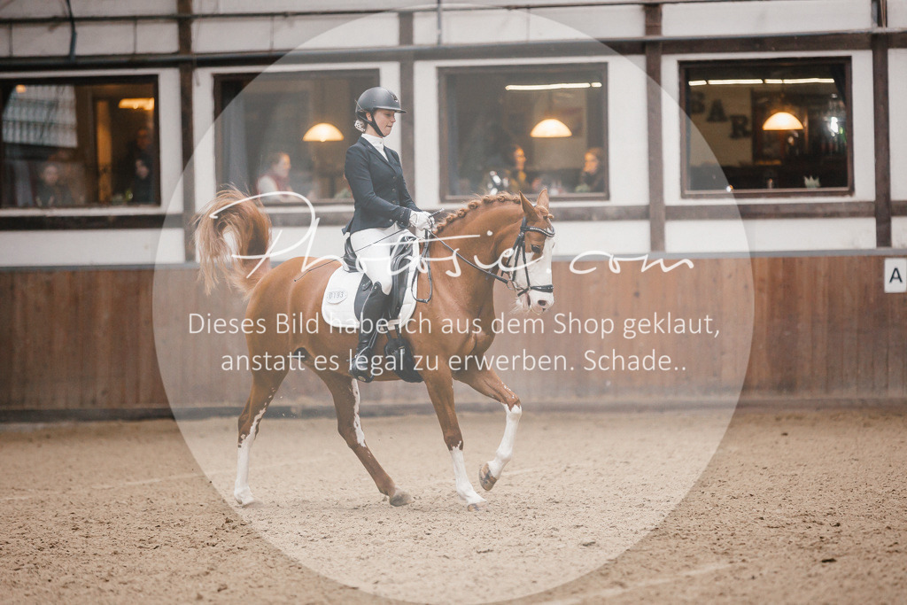 3I6A6438 | Stimmungsvolle Portraits und Reitsportfotografie im Ruhrgebiet und im Münsterland.

Pferdefotografie, Hundefotografie, Tierfotografie, Reportagen, Portraits von Tier und Mensch, Turnierfotografie in Bochum, Recklinghausen, Marl, Haltern am See, Dülmen.. - Realisiert mit Pictrs.com