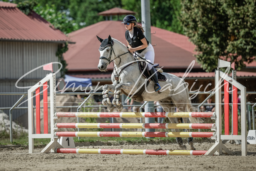 20250906-_3LI6391 | Tierfotografie Pferde, Hunde, Katzen, Haustiere.
Turnierfotografie Reitturniere, Reiten, Springreiten, Dressur in Hanau, dem Main-Kinzig-Kreis und dem Rhein-Main- Gebiet um Frankfurt