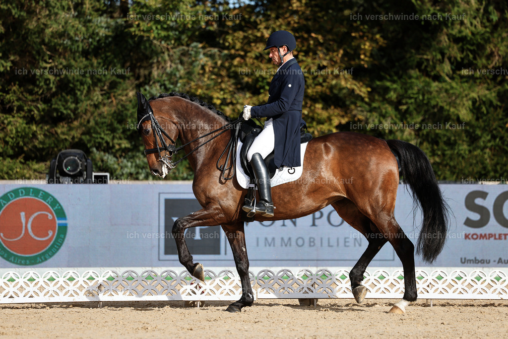 13-226-S___ -StoibPH-6919 | working equitationturnier fotograf videograf stoibphotography marixx film working equitation deutschland reitsport turnierfotografie eventfotografie equestrian events