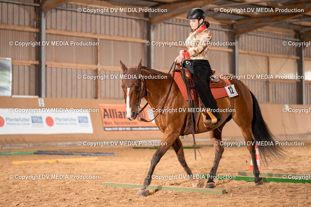 Losheim Tag 2-211 | dv-media-shop - Realisiert mit Pictrs.com