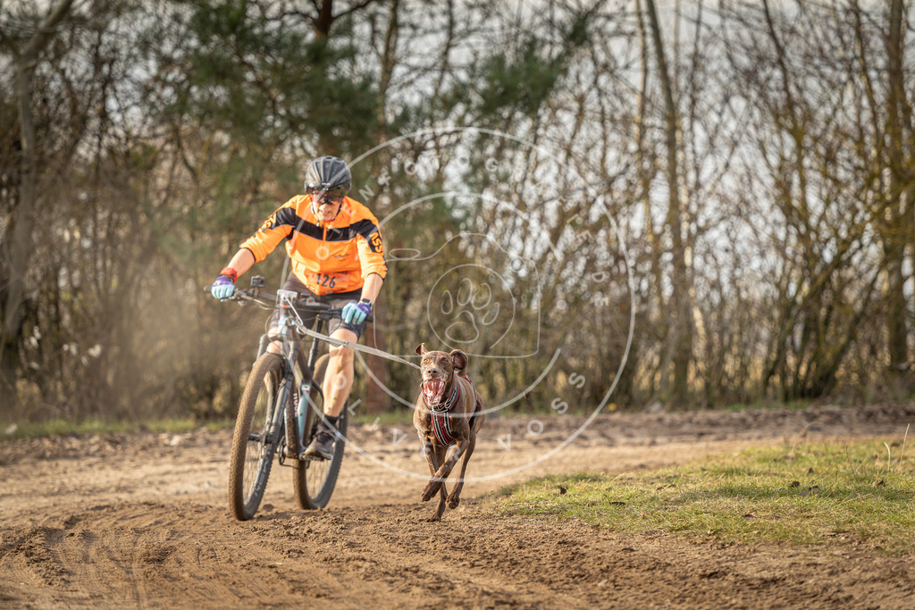 Pfotenfotografie_DV3A8500 | Hundefotografie, Tierfotograf, Pfotenfotografie, Fotoshooting Hund, Hunde Portrait, Hundesport, Hundeportraits, Heideshooting, Hunde, Sportfotograf, Hundefotograf, Turnierhundsport, THS,  - Realisiert mit Pictrs.com
