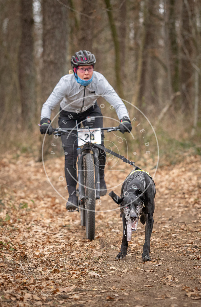 Pfotenfotografie_DV3A7425 | Hundefotografie, Tierfotograf, Pfotenfotografie, Fotoshooting Hund, Hunde Portrait, Hundesport, Hundeportraits, Heideshooting, Hunde, Sportfotograf, Hundefotograf, Turnierhundsport, THS,  - Realisiert mit Pictrs.com