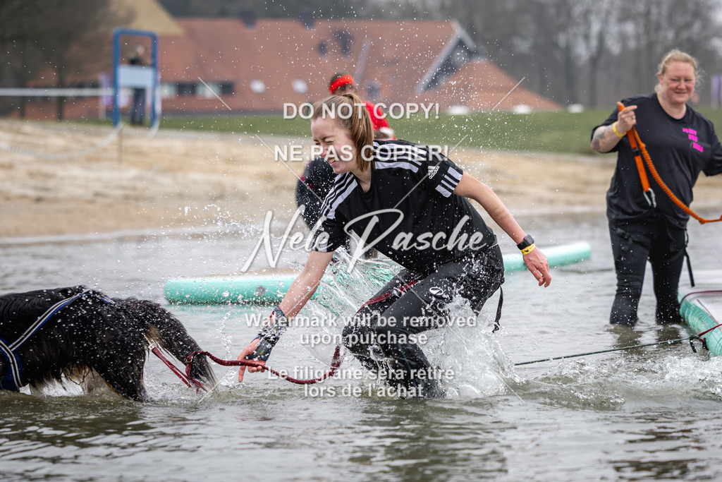 nelerasche_Hulsbeek_Sa1130-1230_222 | nelerasche