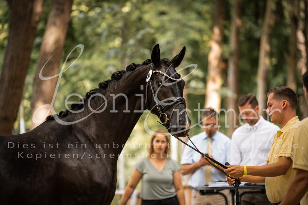 FrPfM00117 | Leoni Ertmer Photography - Realisiert mit Pictrs.com