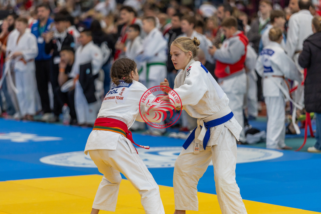 Internationaler Adler Cup 2024 | Foto vom Internationalen Adler Cup Judo Turnier im Sport- und Freizeitzentrum Kalbach im Oktober 2024 - Realisiert mit Pictrs.com