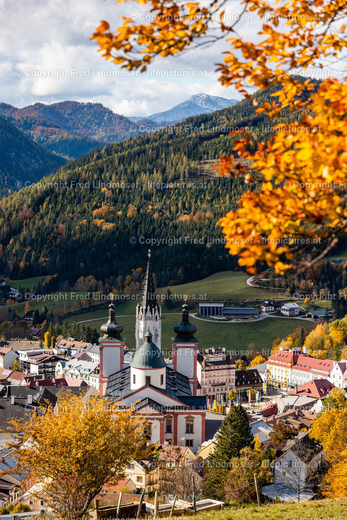 Mariazell Goldener Herbst 23102021-0410 | Fotos und Fotoprodukte - Realisiert mit Pictrs.com