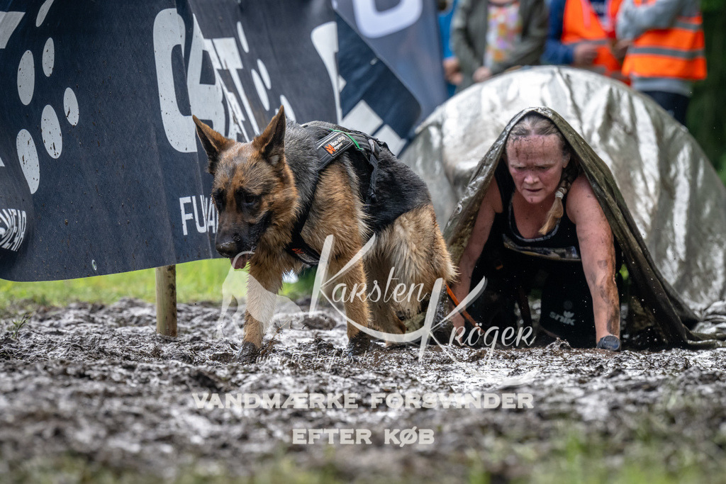 1059_ZZ93243 | kk-dogfotos