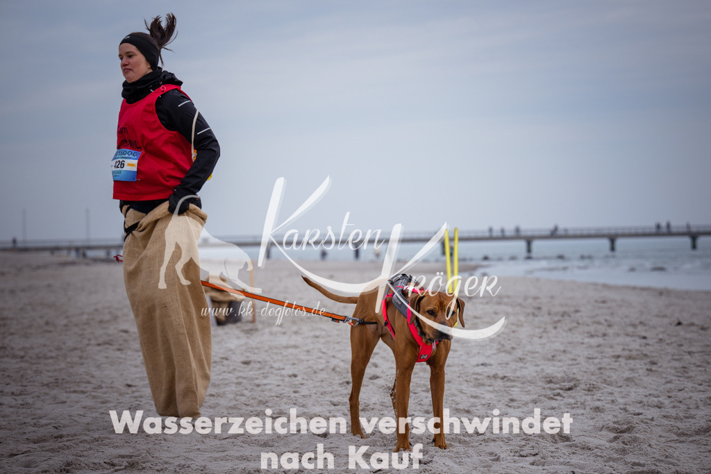 1206_ZZ92082 | kk-dogfotos