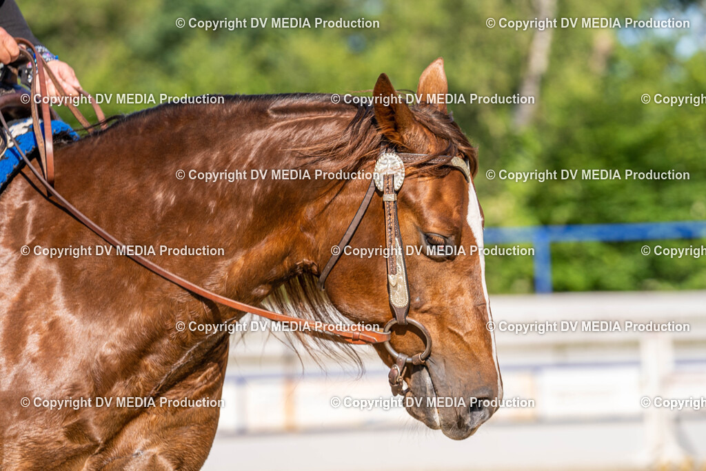 Zeiskam Tag 2-232 | dv-media-shop - Realisiert mit Pictrs.com