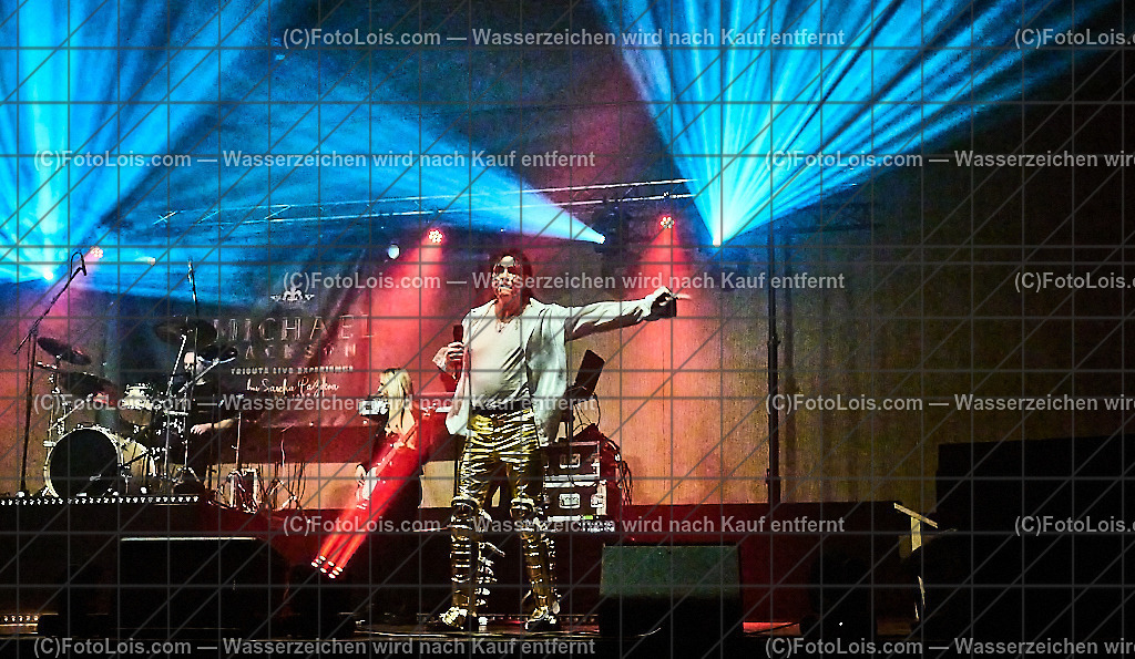 ALP6469_Tribute_Michael Jackson_Wieselburg | (C)FotoLois.com, Alois Spandl.  Michael Jackson Tribute-Konzert im Wieselburger NV-Forum, Mi 30. Oktober 2024.