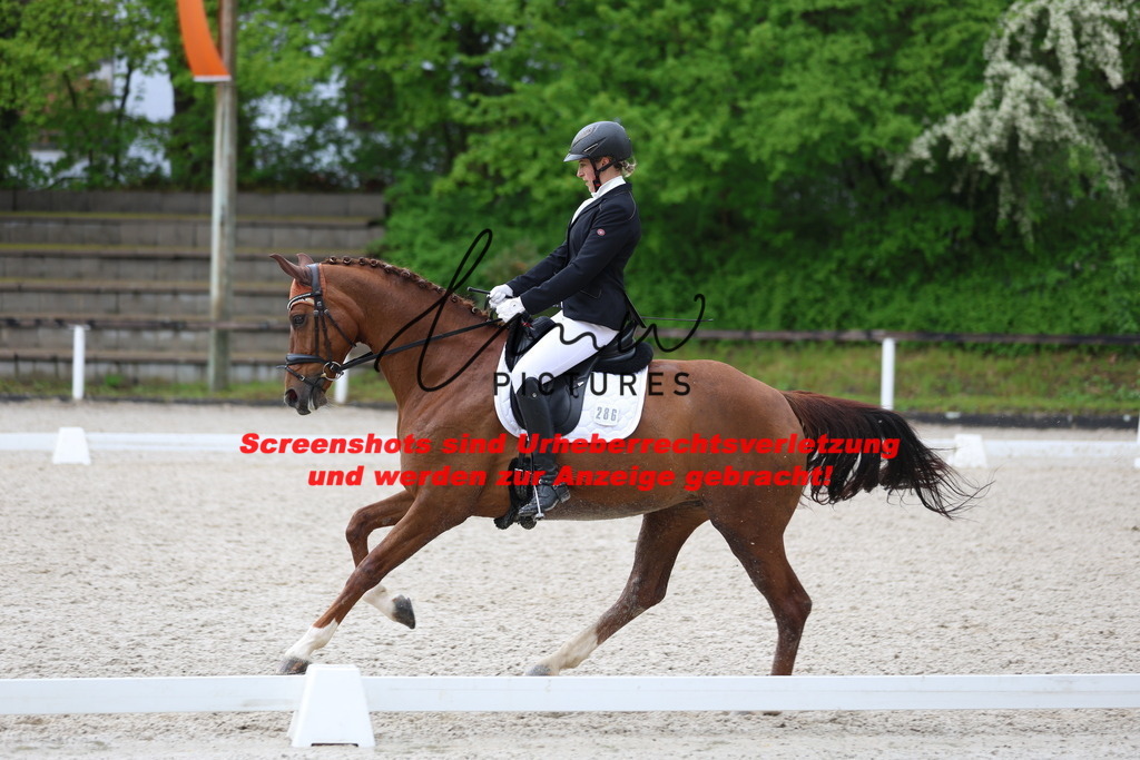 A40A9085 | lmwpictures - Realisiert mit Pictrs.com