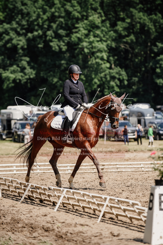DSC_1301 | Pferde- und Turnierfotografie in Westsachsen. Pferdeportraits, Auftragszeichnungen und intuitive Kunst.