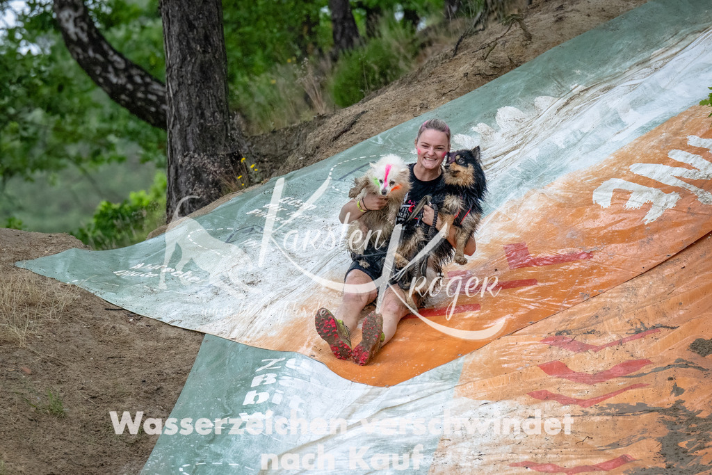 1231_ZZ92899-Bearbeitet | kk-dogfotos