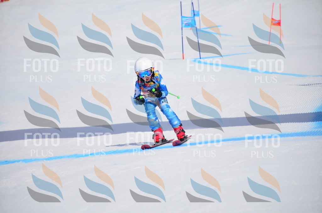 VR4_6676 | holidayphoto