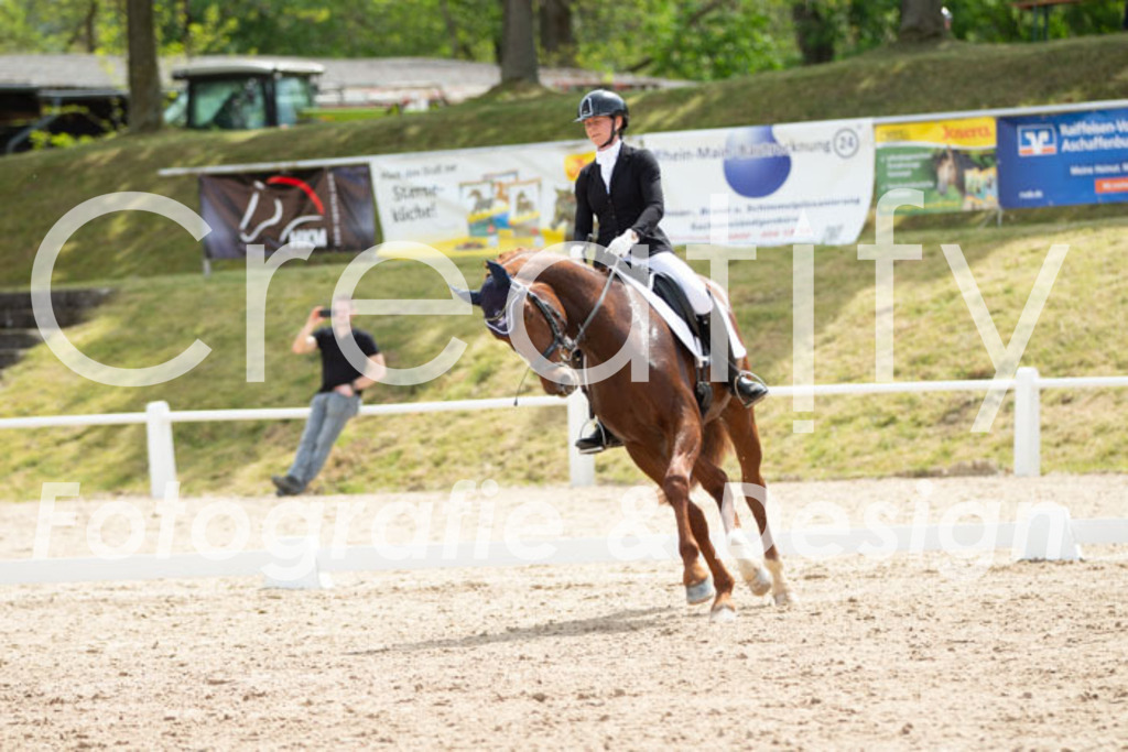 IMG_2510 | Creatify Fotografie