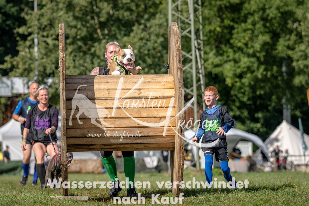 1119_ZZ94474 | kk-dogfotos