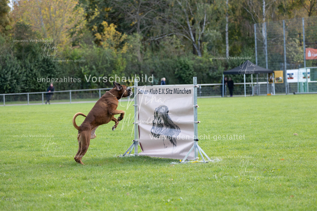 _16A6761 | Einzigartige Fotos von Hunden & Menschen –Actionfotos, Portraits, Vereinsaufnahmen & Paarshootings – authentisch, lebendig & mit Herz.