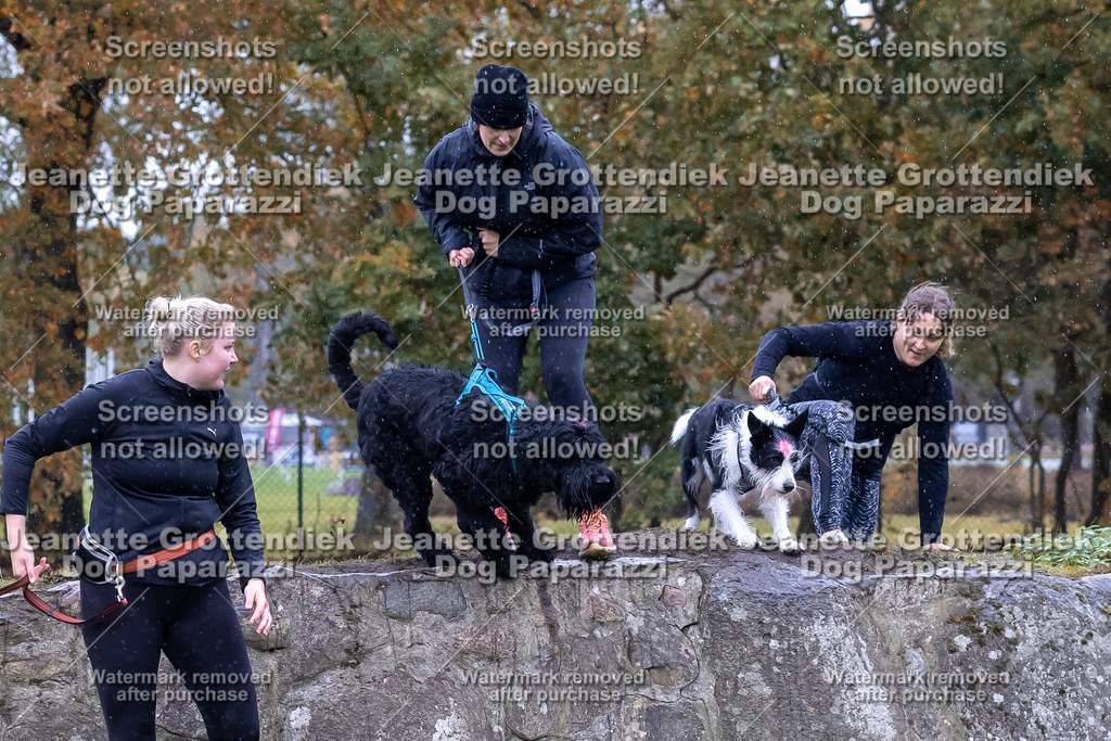 Dog Paparazzi - SD CaniX Championship 2025-746 | Dog Paparazzi Jeanette Grottendiek Fotografie & Videografie - Realisiert mit Pictrs.com