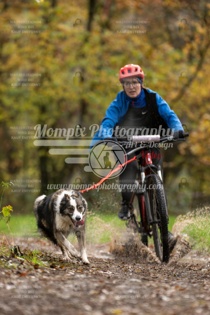 MompixPhotography_Bischwiller23_Bike-39 | PayLife