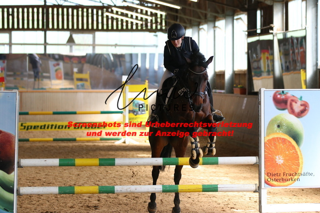 IMG_5556 | lmwpictures - Realisiert mit Pictrs.com