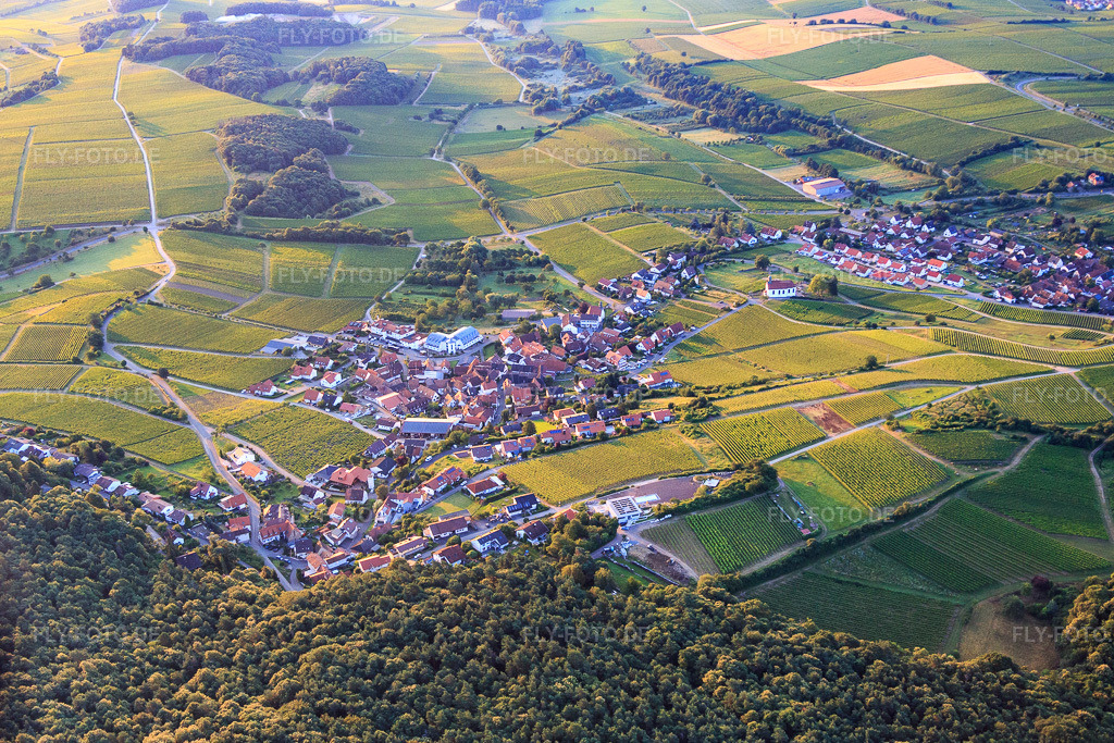 Luftbild: Winzerdorfansicht von Nordwesten im Ortsteil Gleiszellen in Gleiszellen-Gleishorbach im Bundesland Rheinland-Pfalz in Deutschland. Foto: IMG_091844.jpg vom 16.07.2016 durch Werner Riehm/FLY-FOTO.de